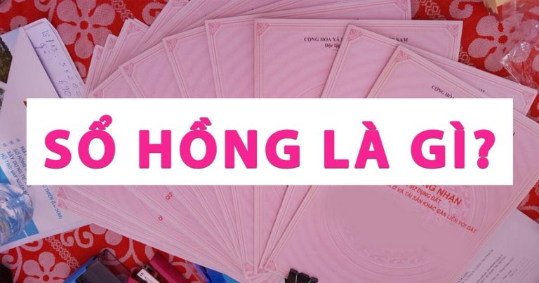 so-hong-la-gi