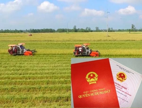 Đất nông nghiệp lên thổ cư