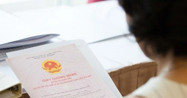 bất động sản